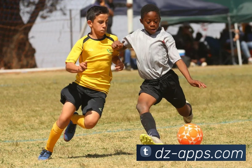 App Interface Preview